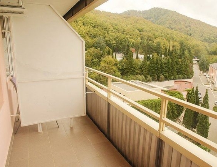 Делюкс - Санаторий «Автотранспортник» Агой